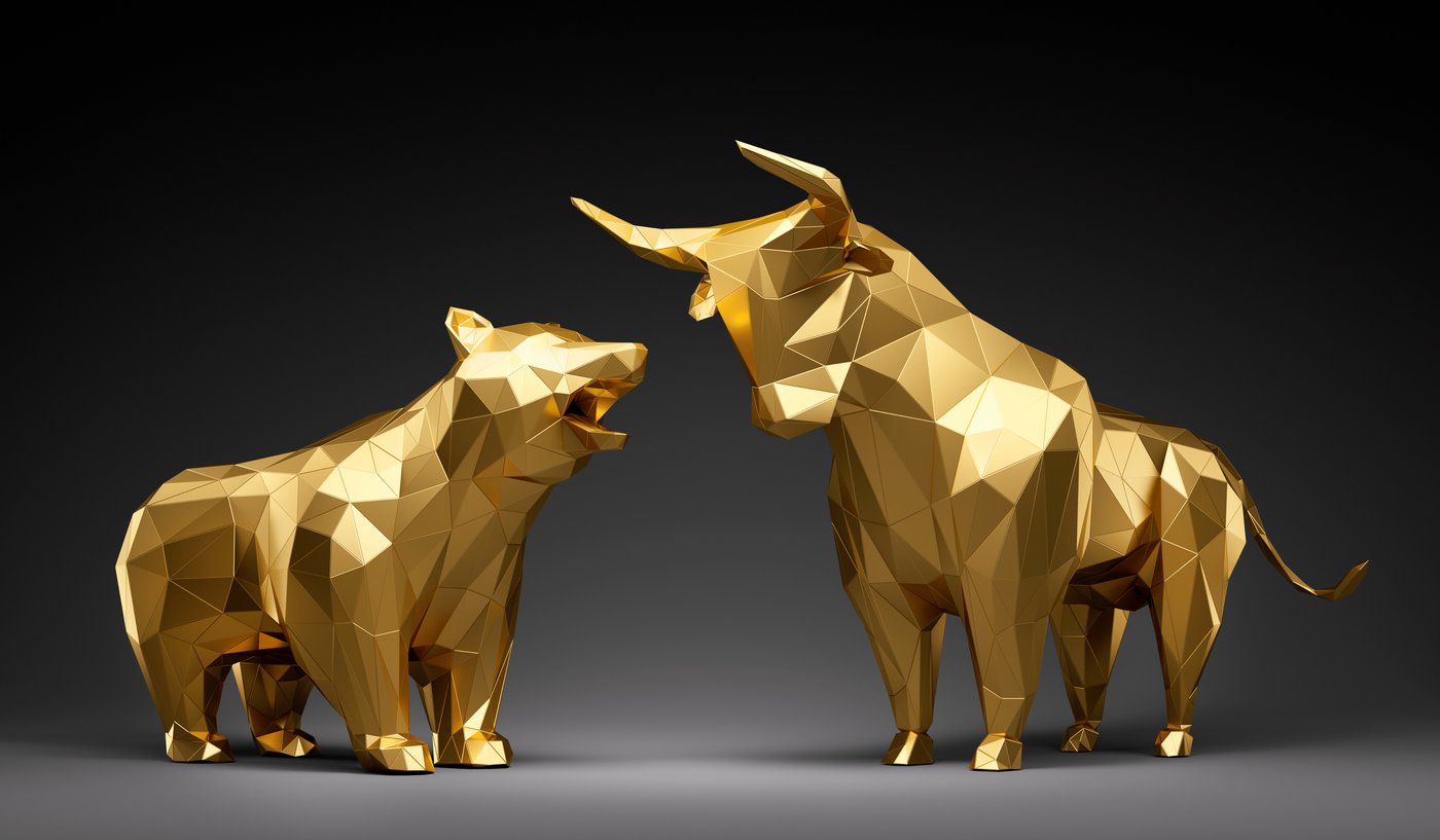 Bull and bear market